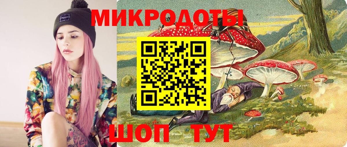 Галлюциногенные грибы Psilocybine cubensis Тайшет
