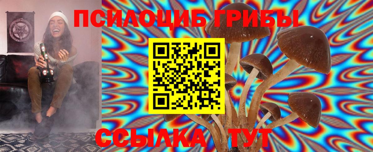 Галлюциногенные грибы GOLDEN TEACHER  Вход с VPN  Тайшет 